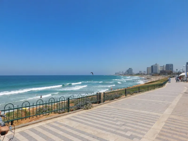 Between Two Worlds: How Tel Aviv Made Adi Ulmansky the Artist America Was Waiting For